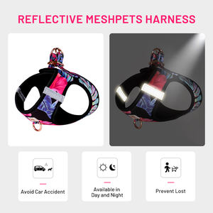 Set di imbracatura per gatti di lusso <span class=keywords><strong>2025</strong></span> con collare per cani in poliestere morbido traspirante con Logo stampato con fibbia in metallo - Product Image 3