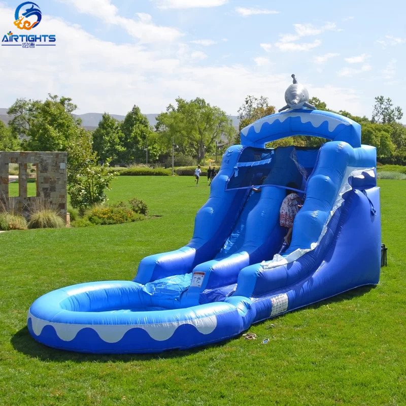 Dolphin Design Commercial Inflatable Jumbo Slide With Water Pool