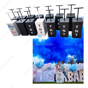 Canon à Confettis Électronique et Télécommandé pour Nouvel An, Remise de Diplôme, Mariage - <span class=keywords><strong>Kit</strong></span> Complet pour Fête Révélation de Genre - Product Image 3