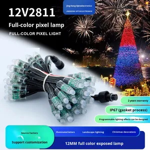 Guirlande lumineuse LED extérieure à pixels pleine couleur WS2811-12V IP67 étanche avec fil noir et remplissage de colle pour arbres de Noël et enseignes publicitaires - Product Image 3