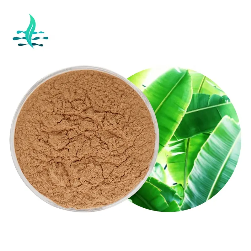 Hot Selling Pure Natuurlijke Banaan Leaf Extract Poeder