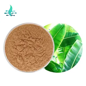 Hot Selling Pure Natural Banana Leaf Extract Powder