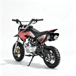Mini Moto Tout-Terrain Adulte en Gros, 4 Temps, Refroidie par Air, Autonomie 70-80km, Moteur Haute Performance Offrant une Puissance Exceptionnelle - Product Image 4