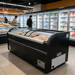 Réfrigérateur commercial à double porte vitrée de 800 L, congélateur profond pour la présentation de glaces et de sucettes glacées, idéal pour les supermarchés et les magasins de proximité - Product Image 2