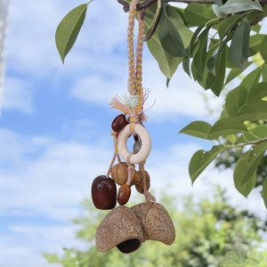 Wholesale Ethnic Handicraft Natural Fruit Shell Hanging Charm <b>Wind</b> <b>Chime</b> For Decorating - Product Image 2