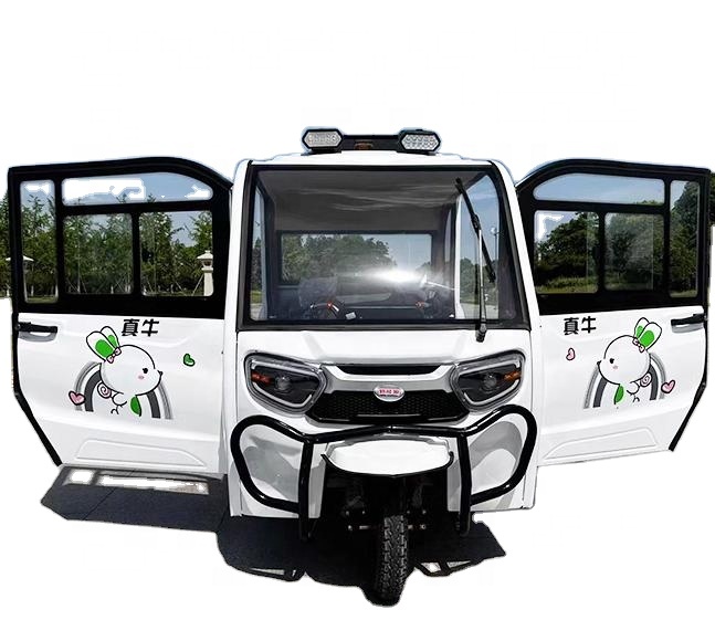 TianYing Best Selling Motorised Motorcycle Mobility Electric Model 24V 500W Motorized Tricycle