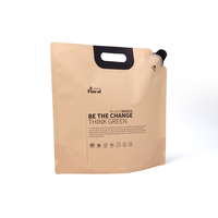 Pochette à bec verseur personnalisée 3L 5L pour emballage de liquides avec poignée, haute barrière, grande capacité, pour lessive