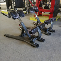 Appareil de musculation pour l'extension dorsale, hyperextension FF45, équipement de fitness pour salle de sport commerciale et à domicile, machine d'hyperextension de luxe pour le sport