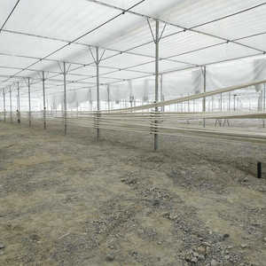 Multi Span Tunnel Fraise Gothique Serre Produit agricole à vendre - Product Image 1
