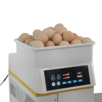 Machine Commerciale Automatique de Cuisson et de Transformation de Poulet Frit et d'Œufs (Durs ou Mollets)