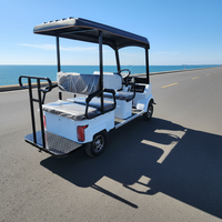 Voiture électrique haute performance, mini-buggy, véhicule de tourisme et scooter pour le transport urbain et le tourisme