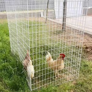 Oferta 2026: Jaula Económica para Gallos de Pelea de 1.5*1*1.5 m, Malla de Alambre de Hierro Galvanizado Soldado, Plegable y Cortable - Product Image 1