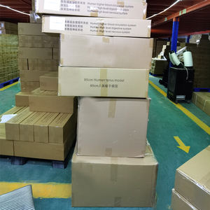 Modelo Anatómico Educativo Médico para Comparación de Corazones Saludables y Dañados por el Tabaco, de PVC, Pintado a Mano y Elaboradamente Tallado - Product Image 5