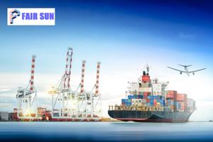 전문 해상 운송업자 물류 에이전트에 의한 중국 칭다오에서 파시르 구당 말레이시아까지의 FCL 20GP 해양 운임 요금 - Product Image 5