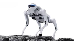 Robot chien quadrupède télécommandé Da Mao, alimenté par l'IA, en acier inoxydable, étanche, pliable, portable, tapis de marche extérieur - Product Image 3