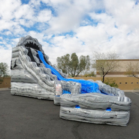 Commercial Popular Outdoor Park Big Wave Double Lanes Inflatable Water Slide for Kids and Adult
