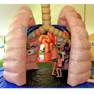 Attrezzature per l'insegnamento medico gonfiabili per organi del corpo gonfiabili per <span class=keywords><strong>palloncini</strong></span> gonfiabili per polmone sano - Product Image 4