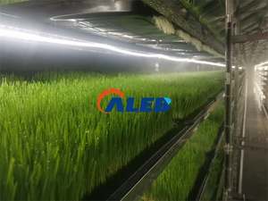 Hydroponic Vertical Farming System in Shipping Containers Mobile Vertical Grow <b>Racks</b> With Motor Core Component Shipping Containe - Product Image 2