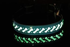 Collares luminosos de nailon para perros, impermeables, con hebilla intermitente, luz nocturna, de seguridad, Led - Product Image 4