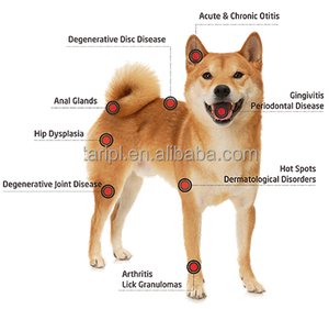 Láser de diodo de potencia fuerte 980nm 30W fisioterapia de potencia uso veterinario para inflamación de mascotas máquina de curación de heridas - Product Image 3