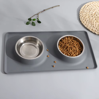 Bol moderne et écologique en acier inoxydable pour l'eau et la nourriture, tapis en silicone anti-déversement, bol pliable pour une utilisation en intérieur et en extérieur
