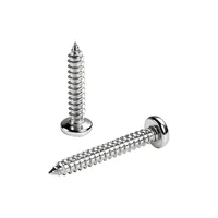 Vis autotaraudeuses à tête cylindrique Phillips GB845 en acier inoxydable 304 A2-70 pour tôles métriques M2.2 M2.9 M3.5 M3.9 M4.2 M4.8 M5.5