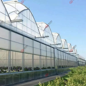 Fornecimento de fábrica Branco Plástico <span class=keywords><strong>Sheeting</strong></span> Pe Estufa Poly Film Tampa Resistente UV Pe Film para Estufa Comercial - Product Image 5