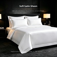 Nouvel ensemble de literie de luxe pour hôtel 2026, 100% coton satiné 300 fils/cm², 60Sx40S 173x120, 4 pièces (housse de couette, drap, taies d'oreiller), OEM