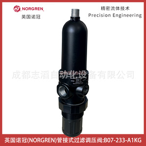 Filtre-régulateur Norgren à montage sur tuyau B07-233-A1KG 1/4 pouce, gaz pneumatique - Product Image 4