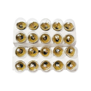 <span class=keywords><strong>Ampoule</strong></span> de feu stop/feu arrière 12V 5W/10W G18 avec broches à <span class=keywords><strong>baïonnette</strong></span> décalées pour feu arrière de voiture - Product Image 5