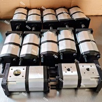 Pompe à engrenages hydraulique standard haute pression 250 bars, 2 étages, garantie 1 an, pour tracteurs Landini Landpower 125, 135, 145, 165 et 180