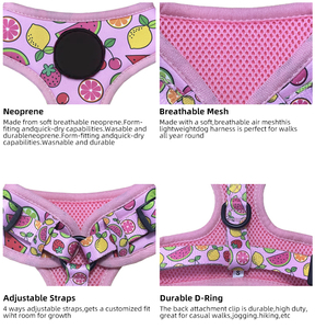 Logotipo personalizado Personalizado Neoprene New <span class=keywords><strong>Dog</strong></span> <span class=keywords><strong>Harness</strong></span> Define Kit Luxo Ajustável Pet <span class=keywords><strong>Dog</strong></span> Leash e <span class=keywords><strong>Harness</strong></span> Puppy Set para <span class=keywords><strong>Dog</strong></span> - Product Image 5