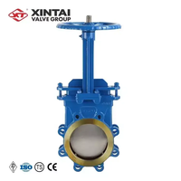 Xintai OEM ODM 150LB 6 pouces WCB acier moulé API volant concentré couteau vanne
