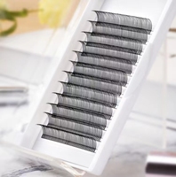 Personnalisé Haute Qualité Mat 5D Flora Lashes C D Curl Eyelash Auto Blossom Easy Fan Extensions de Cils Naturels