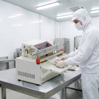 Máquina de Envasado al Vacío Automática de Sobremesa, Comercial, Eléctrica, 600 mm, con Bomba Externa y Acabado en Pintura Horneada, para Bolsas de Película/Aluminio para Carne y Pescado
