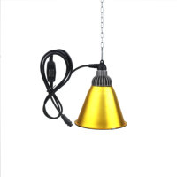 Lampes chauffantes Hontech-Wins pour porcherie / poulailler, ampoule infrarouge de haute qualité