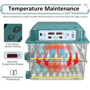 Incubadora de huevos automática Chalixion Capacidad de incubación de huevos 120 5 modos automáticos Control de temperatura de humedad 5 días de incubación - Product Image 2
