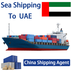 Agente de Transporte Marítimo Puerta a Puerta de <span class=keywords><strong>China</strong></span> a Omán y <span class=keywords><strong>Kuwait</strong></span>, Servicios de Logística, Transitario, LCL + Express - Product Image 3