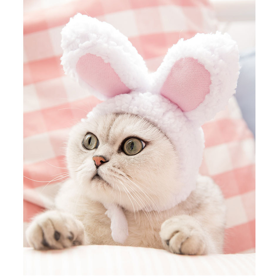 White rabbit ears