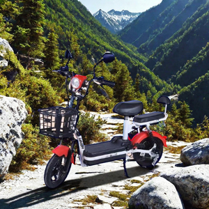 350W 무소음 48V 스탠다드 에디션 2024 전기 레크리에이션 삼륜차 어린이/성인용 40-60km/h 14인치 타이어 금속 허브 12Ah 배터리 - Product Image 6
