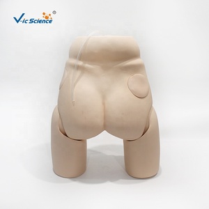Modèle avancé de cathétérisme féminin avec urètre et bassin simulés pour la pratique clinique des étudiants en soins infirmiers et l'enseignement médical - Product Image 3