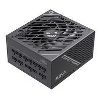 GAMEMAX GX-1250W Pro BK ATX 3.0 PCIe 5.0, 135mm F.D.B Ventilateur, capacité japonaise 80 Plus Platinum Alimentation entièrement modulaire