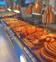 Chauffe-Plats Électrique Double Tête en Acier Inoxydable pour Hôtels et Restaurants, Contrôle Automatique de la Température 85-100°C, Prix Usine