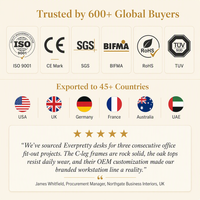 Bureau cantilever avec plateau en stratifié bois clair, panneau de modestie et structure en acier argenté pour salle de formation d'entreprise et espace de travail