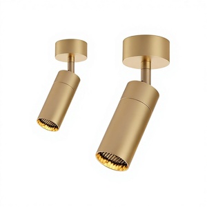 <span class=keywords><strong>Spot</strong></span> LED Nordique en laiton doré et bronze, montage en surface, pour <span class=keywords><strong>rail</strong></span> Zoom Agi32, idéal pour <span class=keywords><strong>salon</strong></span>, entrée intelligente - Product Image 1