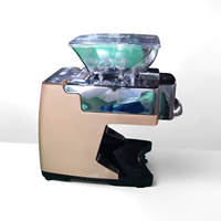 Nieuwe Automatische Olijfolie Soja/Walnoot Sesamolie Persmachine RVS 3-6kg/u Capaciteit Kosteneffectieve Oplossing