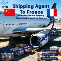 Agente de Transporte, Francia, Transporte Aéreo, Aeropuerto de Orly, París, Puerta a Puerta, Importador, Logística Internacional, Agente de Transporte de Carga