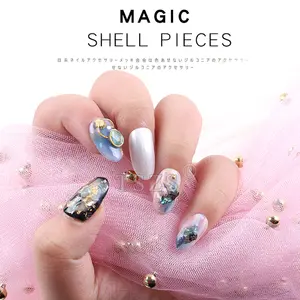 TSZS-adornos para uñas de Color mágico holográfico, con conchas irregulares, lentejuelas, copos triturados, concha de abulón