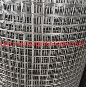 <span class=keywords><strong>Malla</strong></span> cuadrada de alambre de acero <span class=keywords><strong>inoxidable</strong></span> para tractores de pollo Coop <span class=keywords><strong>Malla</strong></span> industrial/loro/ratón/serpiente/pájaro/jaula de conejo/<span class=keywords><strong>Malla</strong></span> Protectora - Product Image 1
