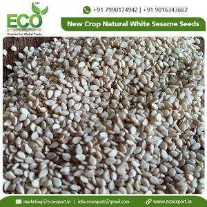 พืชใหม่ธรรมชาติเมล็ดงาสีขาวในราคาที่ต่ำที่มีการบรรจุในถุงที่แข็งแกร่งเมล็ดงาสีขาว - Product Image 2